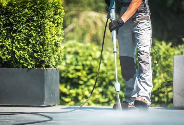 Best Solar Panel Cleaning  in Davie, FL