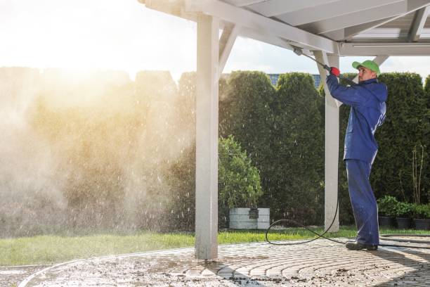 Best Rust Removal  in Davie, FL