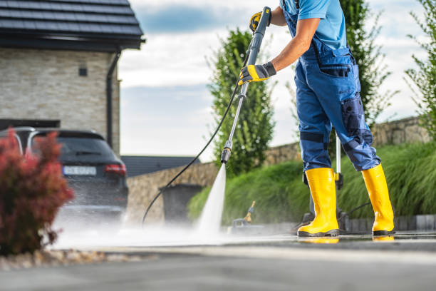 Best Gutter Cleaning  in Davie, FL